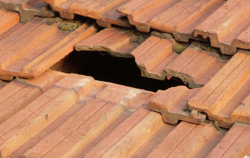 roof repair Badenscallie, Highland